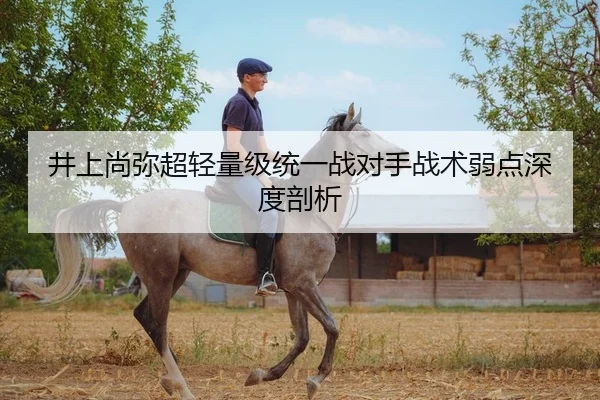 井上尚弥超轻量级统一战对手战术弱点深度剖析